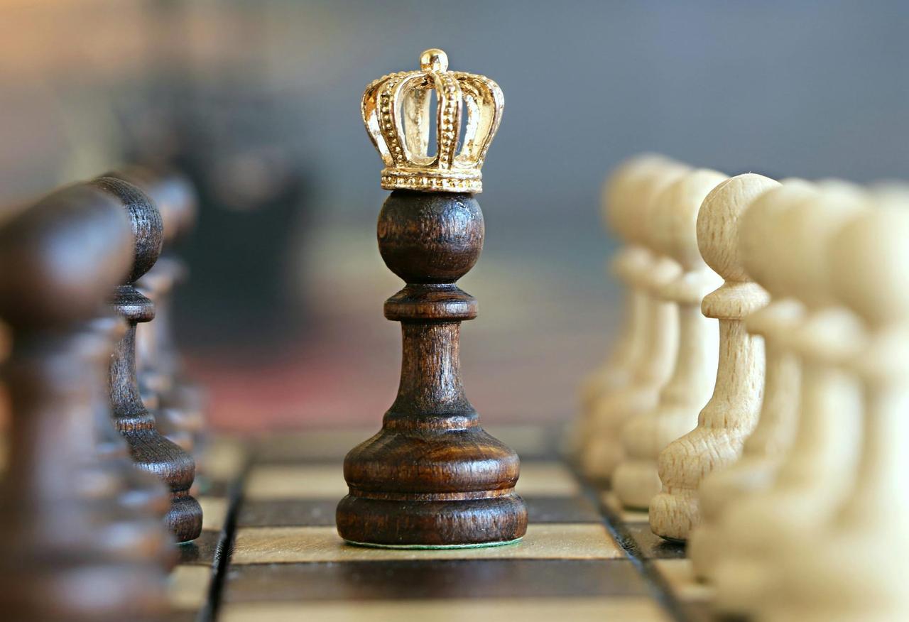Understanding Reference Models in Organizational Management